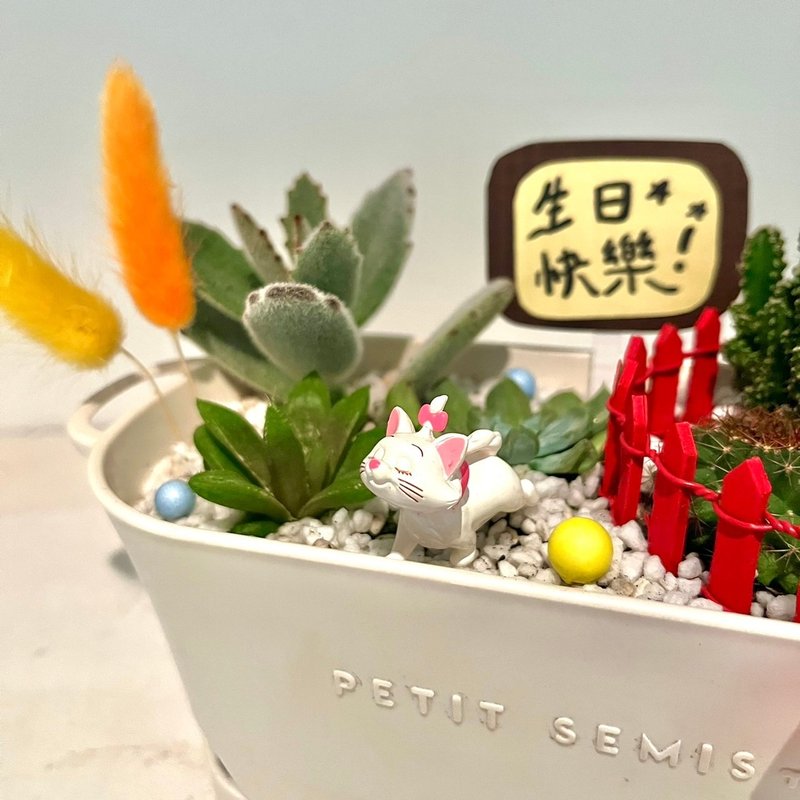 The Adventures of Cat Marie Cat Marie Disney Succulent Potted Plant Succulent Group Pot Micro Landscape Potted Plant - ตกแต่งต้นไม้ - พืช/ดอกไม้ สีเขียว