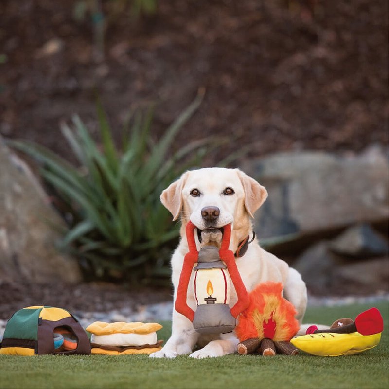 Camp Corbin Collection (Dog toys) - Pet Toys - Eco-Friendly Materials 