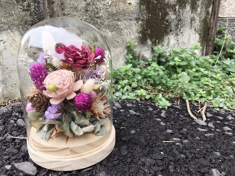 Jia-Yi Chen [good flower] sun rose micro landscape glass flowerbed dry flower ceremony Valentine's Day flower ceremony - Items for Display - Plants & Flowers 