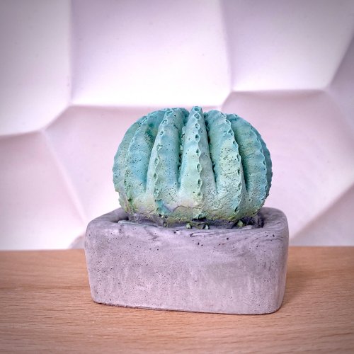 Hedge Maze Accessories 客製化禮物 多肉植物 擴香石