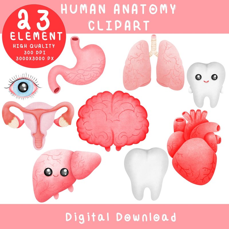 Cute Human Anatomy Clip Art | Kawaii Body Organs PNG Set - 電子似顏繪/繪畫/插畫 - 其他材質 