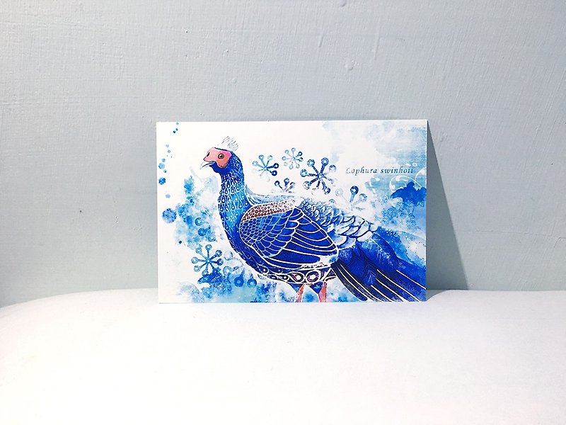 Bird of Taiwan Taiwan Blue-bellied Pheasant/Double-sided postcard postcard - Cards & Postcards - Paper 