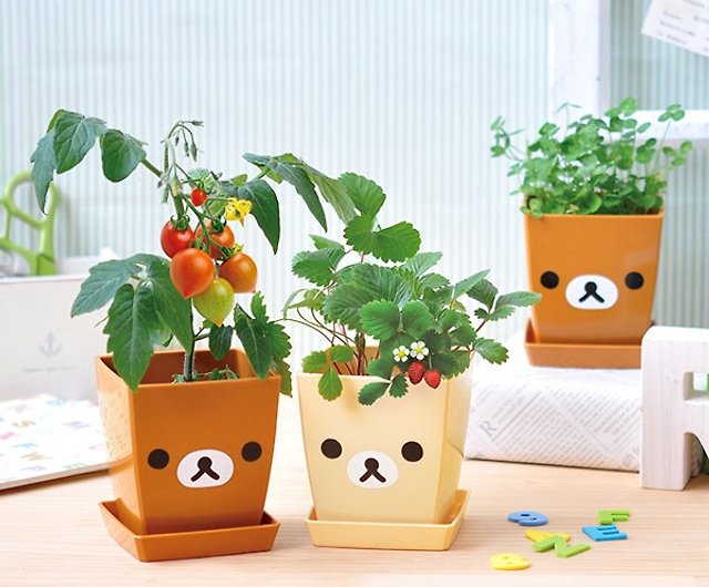 Valentine's Day Recommendation] Rilakkuma Lara Bear Family Garden Shop SEISHIN - Plants - Pinkoi
