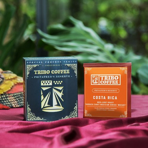 TRIBO COFFEE 哥斯大黎加 音樂家系列 莫札特 葡萄乾蜜處理 淺中焙濾掛式咖啡