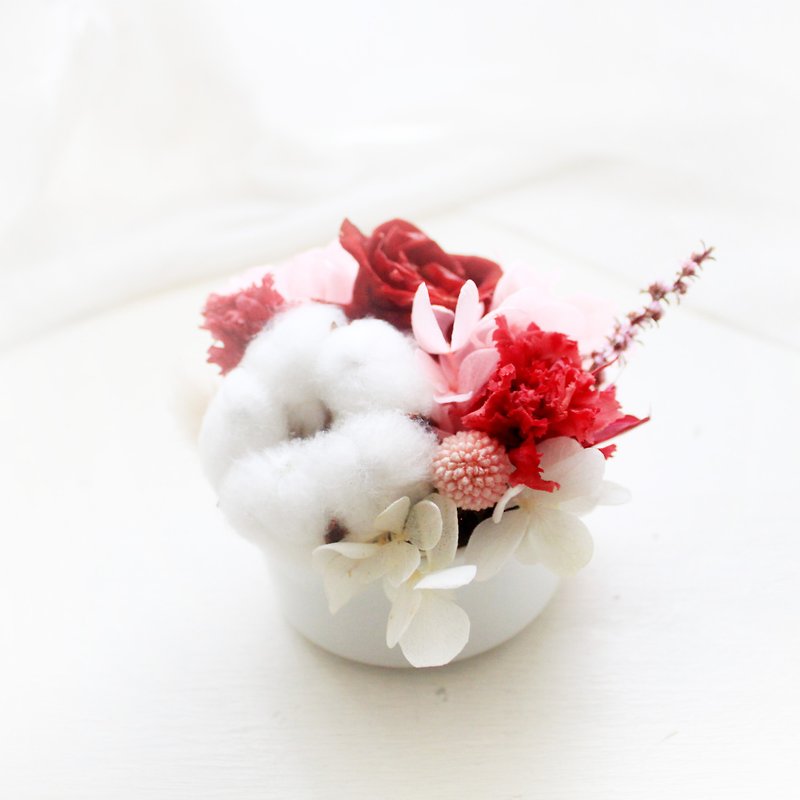 午茶派對棉花糖迷你桌花・白棉與迷你康乃馨花禮 - 乾燥花/永生花 - 植物．花 紅色