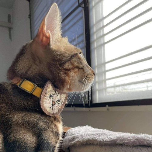 Tile on cat outlet collar