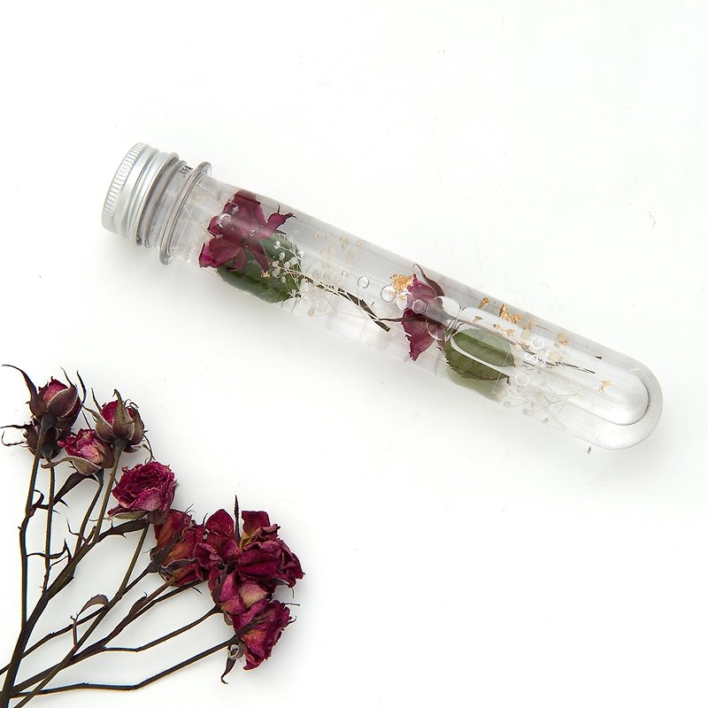 チューブボトルシリーズ星の王子さま[ローズ]  -  Clorisギフトガラスの花 - 観葉植物 - 寄せ植え・花 レッド