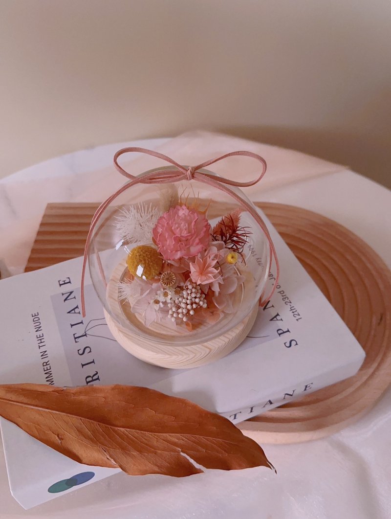 逗留 母親節手作永生花 不凋花 索拉花康乃馨盅罩 - 植栽/花藝 - 植物．花 