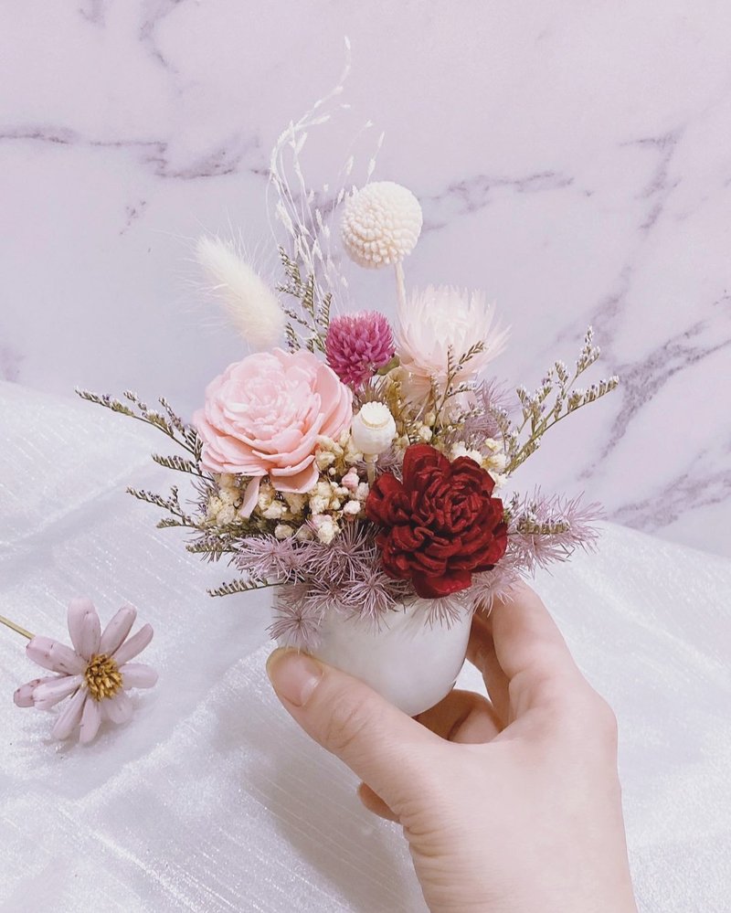 Pink Lady Dried Flowers Small Potted Dried Flowers Small Table Flowers - Dried Flowers & Bouquets - Plants & Flowers Pink