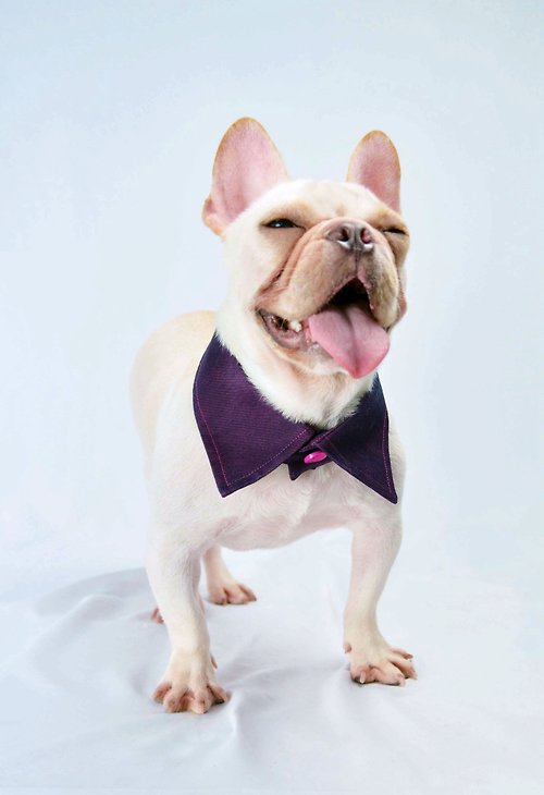 Petsion寵物時尚 寵物雙面襯衫領- 桃紫色PK (XS/S/M/L)