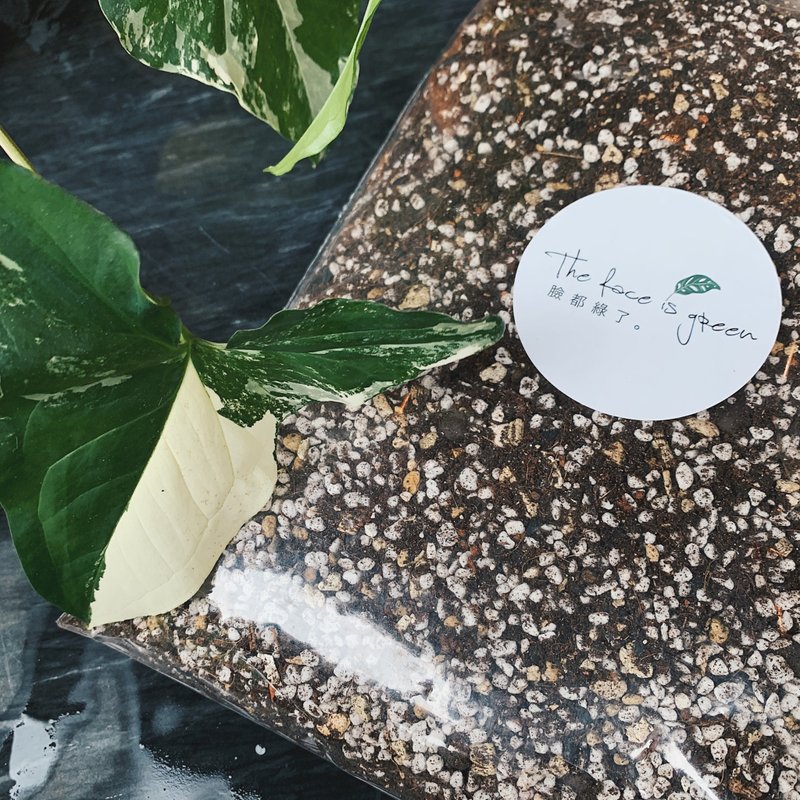 Thefaceisgreen NO.3  室內植物專用複方有機土. - 盆栽/植栽 - 植物．花 咖啡色