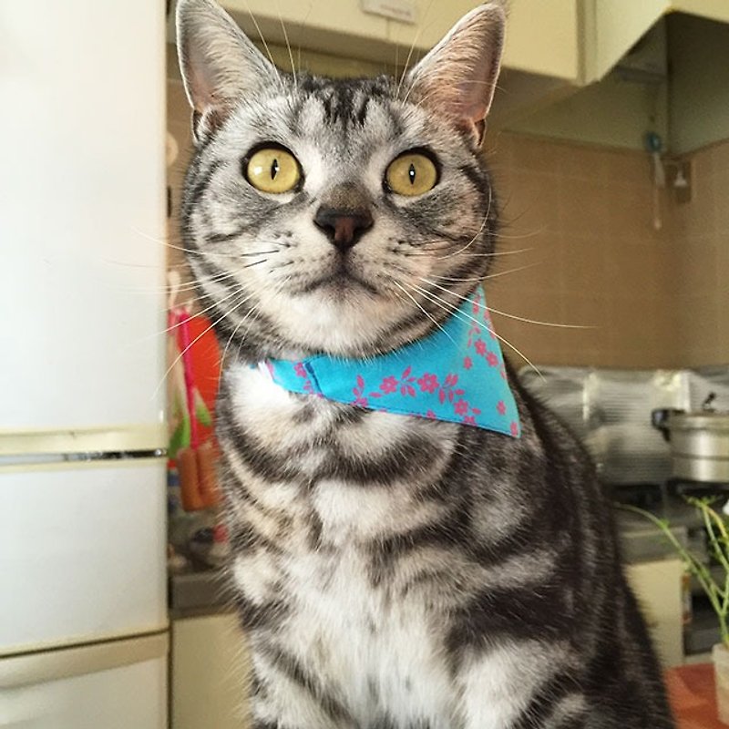 Floral pattern light blue X pink bandana style collar for cats with square can - ปลอกคอ - ผ้าฝ้าย/ผ้าลินิน สีน้ำเงิน