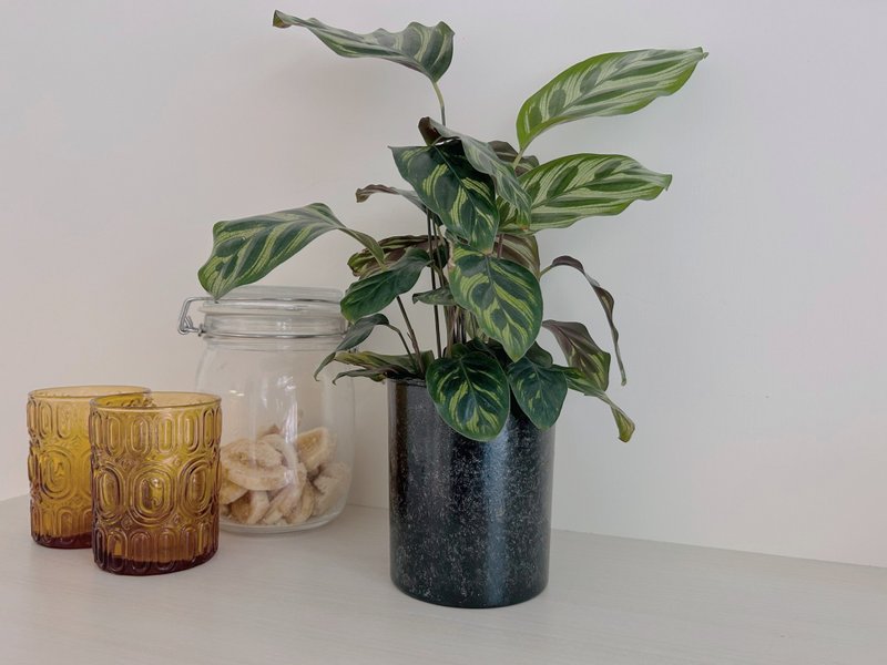 再生竹直筒高盆器 (4吋) - 盆栽/植栽 - 竹 黑色