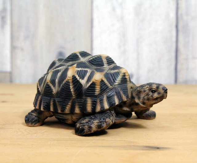 日本マグネット リアルな動物シリーズ インド星亀 亀の形の貯金