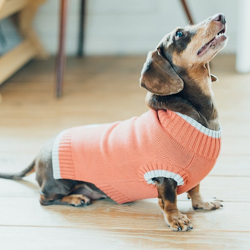 [Tail and me] pet clothes with thin edges and contrast sweater orange - Clothing & Accessories - Cotton & Hemp Orange