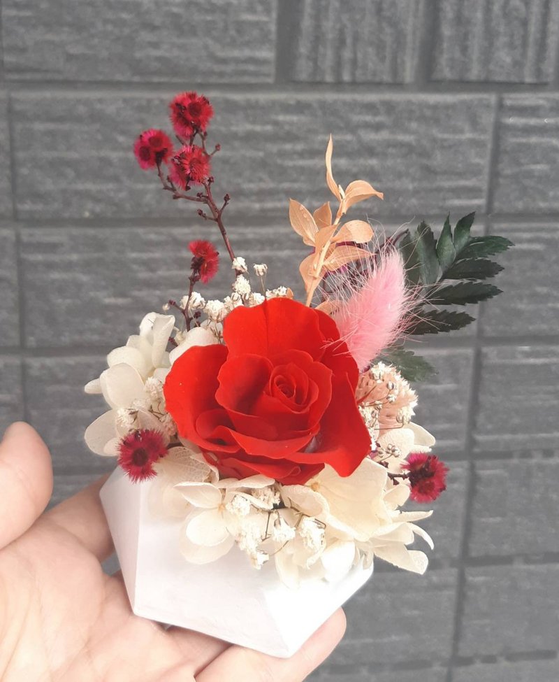 love in kelly 不凋玫瑰六角擴香石盆花 可客製文字 - 盆栽/植栽 - 植物．花 紅色
