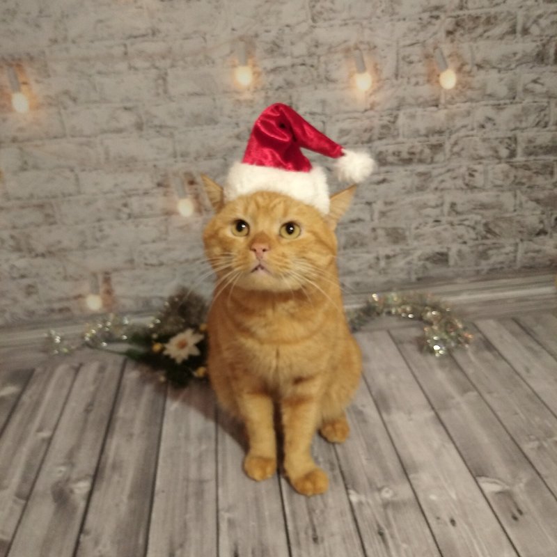 猫用レッド ベルベット サンタ帽子 |クリスマスペット |クリスマスの写真用小道具