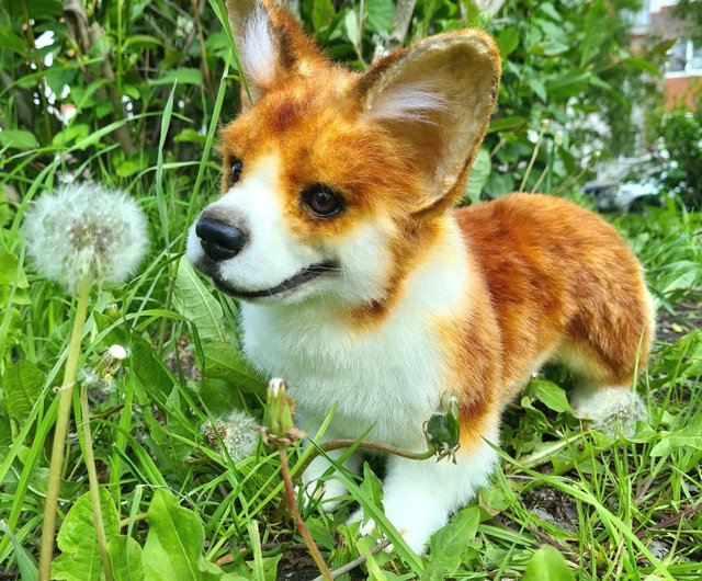 Adorable Welsh Corgi Pembroke Stuffed Dog: Realistic - Temu