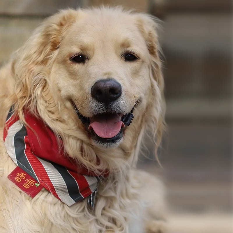 Dog exclusive scarf - customized (large dog) - red and gray pattern - ปลอกคอ - ผ้าฝ้าย/ผ้าลินิน 