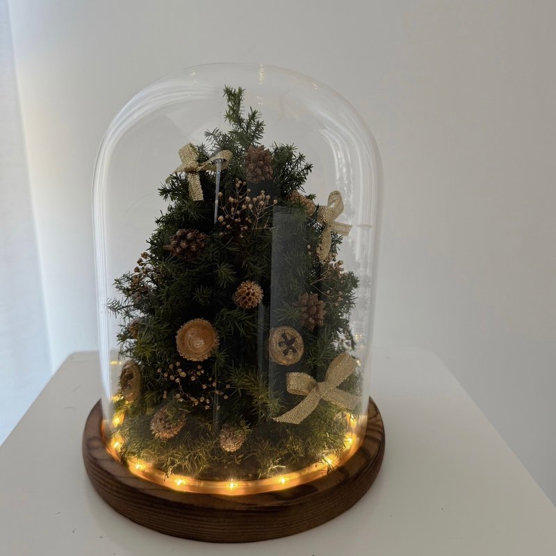 SEE 看見花藝設計|聖誕節|永生雪松 |聖誕樹|金色心願聖誕樹玻璃 - 乾燥花/永生花 - 植物．花 