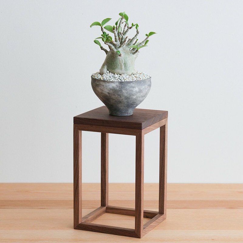 FAVORMADE | Planter Stand L / Three-sided planter/flower stand L size - เฟอร์นิเจอร์อื่น ๆ - ไม้ 