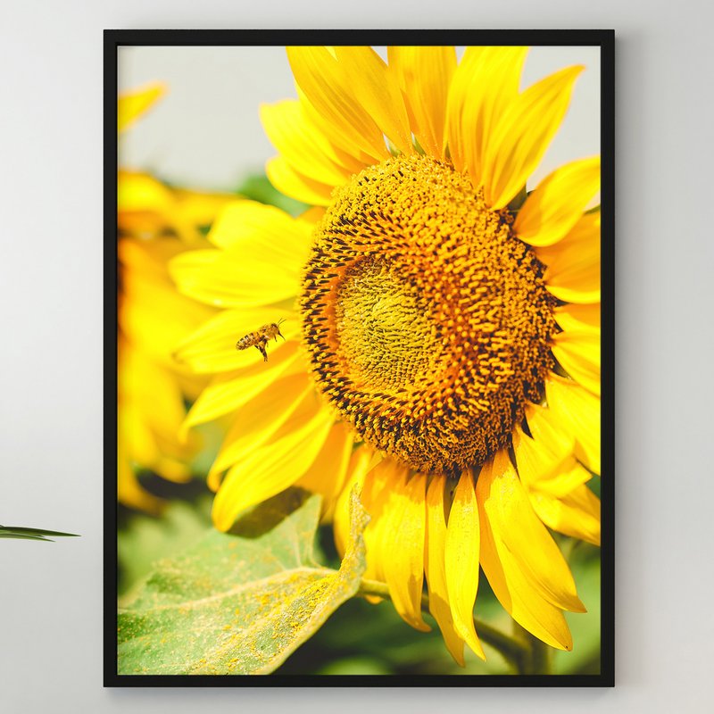 Sunflower Wall Poster, Bee Collects Pollen from Sunflower, Sunflower Fields Art - Posters - Paper 