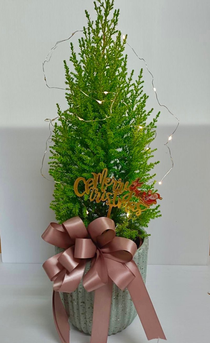 [Christmas Gift] Simple tabletop Christmas tree gift for personal use - Plants - Plants & Flowers 