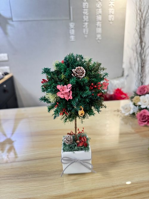 小鹿花巷 永生花許願樹 永生花花球樹 永生雪松