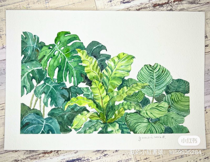 watercolor green plants - วาดภาพ/ศิลปะการเขียน - กระดาษ 