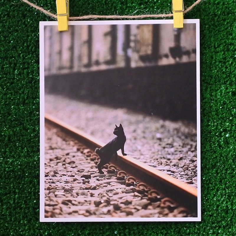 3猫屋猫写真ポストカード（写真：猫夫人）-鉄道ノスタルジックジャーニー - カード・はがき - 紙 