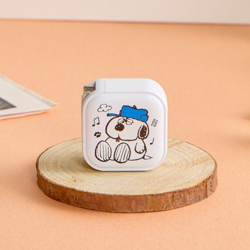 TOYSELECT SNOOPY史努比煩惱歐拉夫GaN 45W Type-C雙孔充電頭