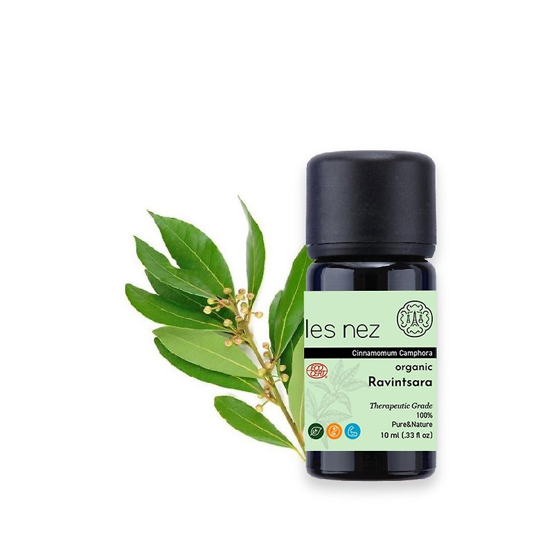 【Les nez Fragrance Nose】Natural organic single prescription eucalyptus oil camphora leaf essential oil 10ML - น้ำหอม - น้ำมันหอม สีดำ