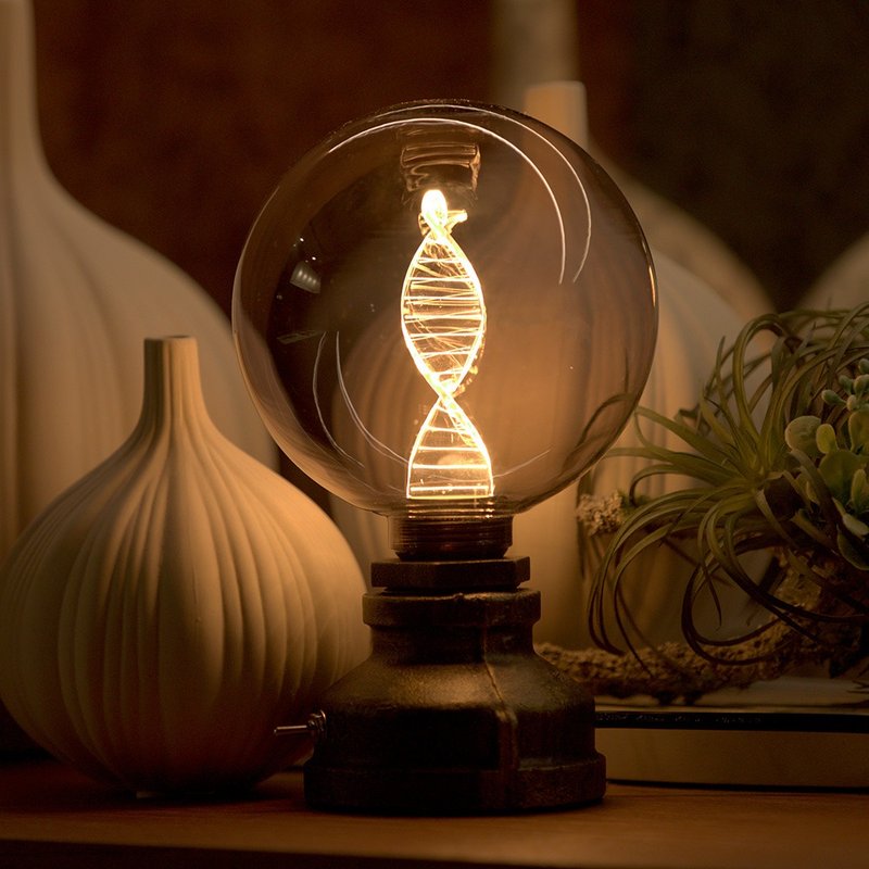 【Christmas Gift】Mirage Smoked Color DNA Night Light | Industrial Style Lamp Holder | Joylight LED - โคมไฟ - แก้ว สีเทา