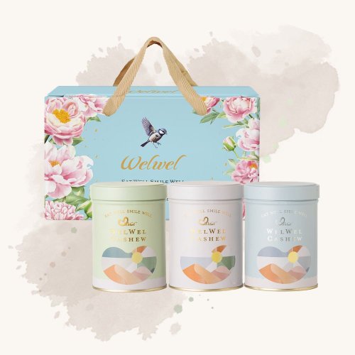 Welwel腰果-腰果界的領導品牌 【限時】領券早鳥價-仲夏時光禮盒A(紅烏龍/綜合堅果/芒果乾)