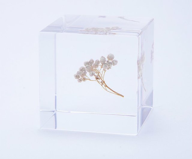 Sola cube_充実した毎日を過ごす - ショップ usaginonedoko-tw