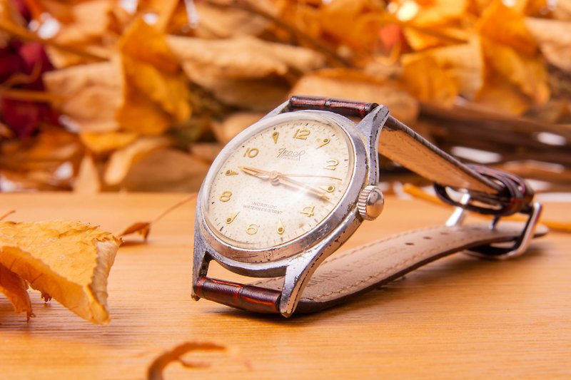 絕版古董 Fedor 17石機械錶 - 男錶/中性錶 - 其他金屬 咖啡色