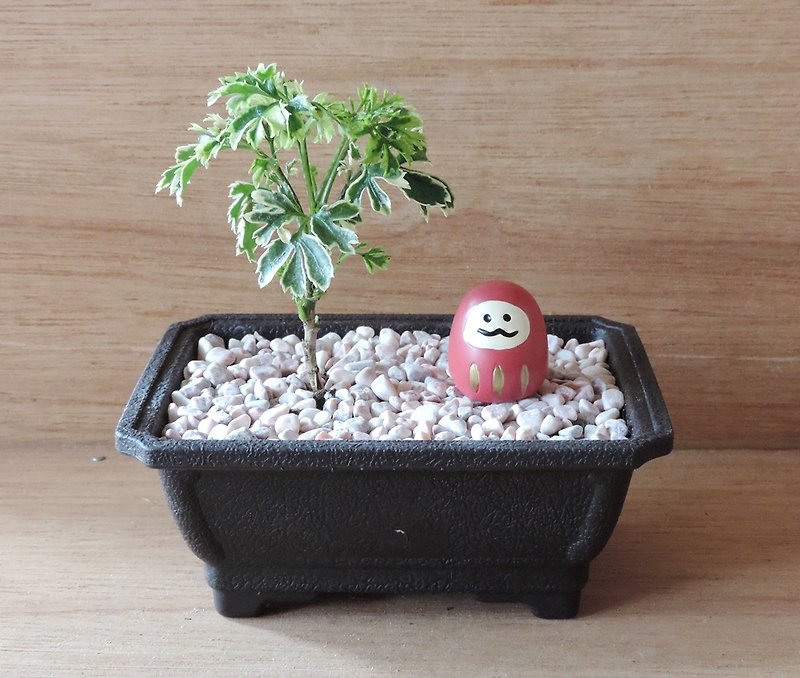 Planting a small tree‧ Snowflake Fulutong【Dharma Lucky God】 - ตกแต่งต้นไม้ - วัสดุอื่นๆ 