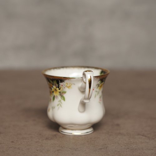 ロイヤルアルバート ロイヤルアスコット カップセット 1982 希少 ロイヤルアルバート レディアスコット＆カーライル カップ＆ソーサー