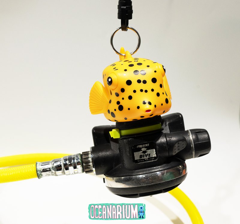 Boxfish octopus holder (Diving) - Fitness Accessories - Latex Yellow