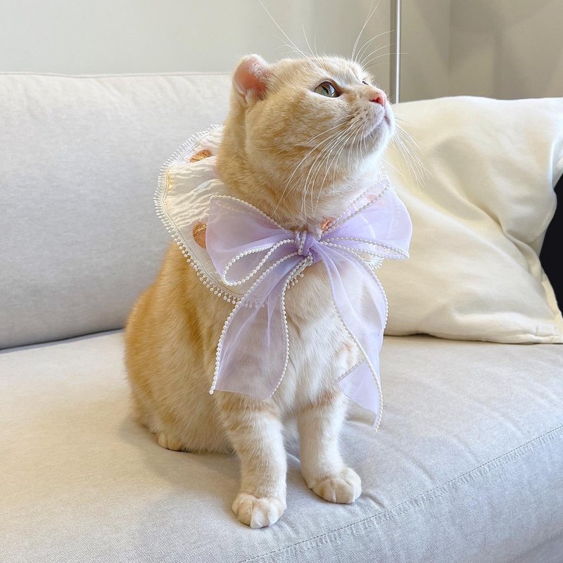 [Pearl Fairy] Beautiful and beautiful pearl luster pet scarf bow knot can take off cat, dog and rabbit collar - Clothing & Accessories - Polyester 