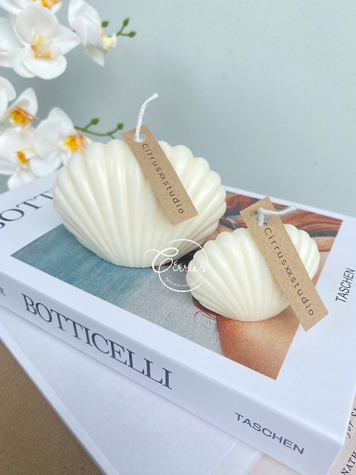 cirrusxxstudio Scented candle, scallop shape, smokeless home decoration scented candle Does not contain organic paraffin