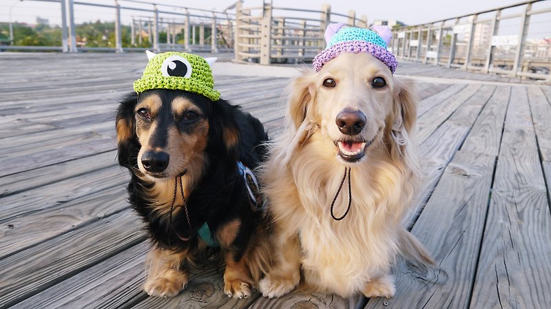 編織草帽-大眼睛造型 / 寵物配件 / 狗狗 / 貓咪 - 寵物衣服 - 環保材質 綠色