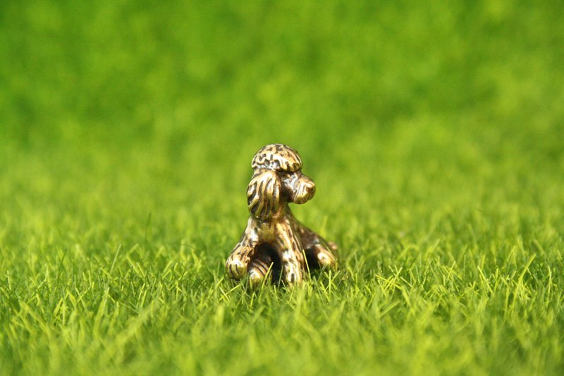 Poodle dog - miniature statuette of bronze, metal figurine - ของวางตกแต่ง - ทองแดงทองเหลือง 