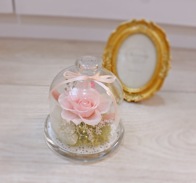 Flover Fulla small table flower design stars Love not withered roses dried flowers cover glass candy flower Preserved flowers immortalized stars - Plants - Other Materials 