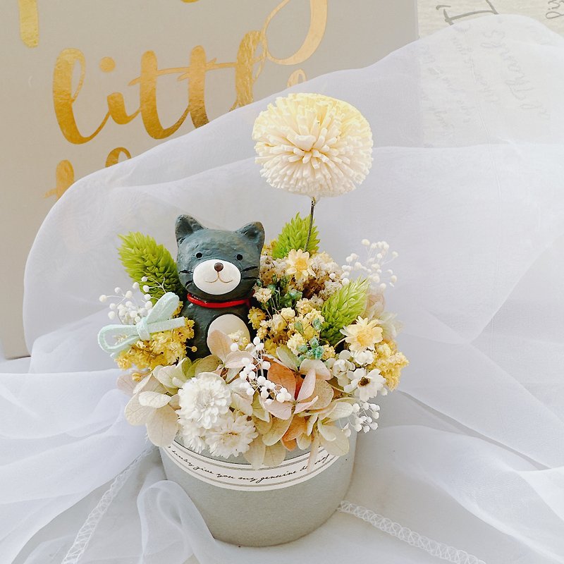 Sunny Meow Meow Dry Flower Immortal Flower Dry Flower Pot Potted Plant Arrangement Healing Valentine's Day - Items for Display - Plants & Flowers Yellow