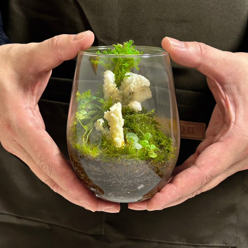 新品上市 - 柔光白礁 / 手工微景觀生態盆 - 盆栽/植栽 - 植物．花 