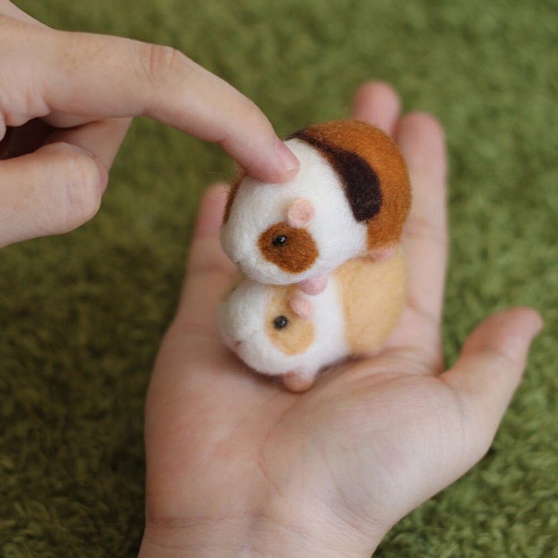 [Online] Guinea Pig Wool Felt Kit (with video tutorial) - Knitting / Felted Wool / Cloth - Wool 