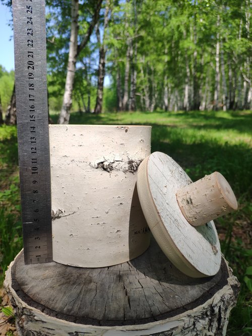 天然白樺樹皮箱 - ショップ Birch bark 収納用品 - Pinkoi