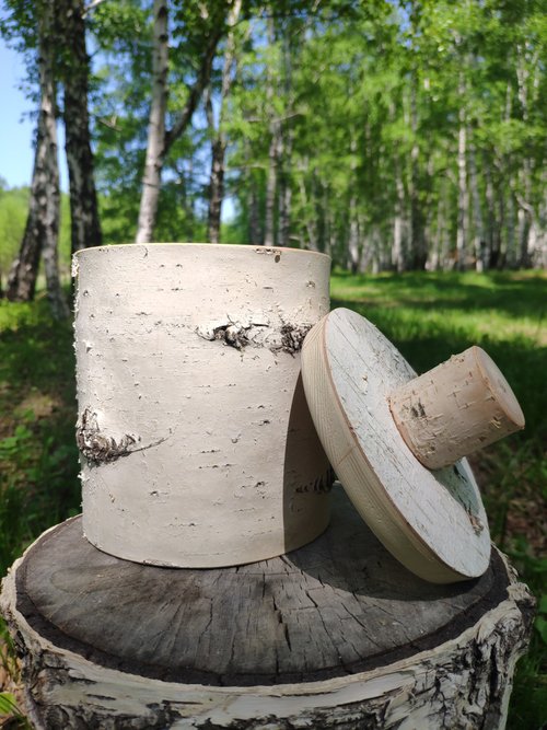 天然白樺樹皮箱 - ショップ Birch bark 収納用品 - Pinkoi