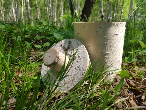 白樺ボックス ケース 天然白樺樹皮箱 - ショップ Birch bark 収納用品 - Pinkoi